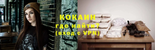 сатива Заводоуковск