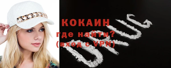 сатива Заводоуковск