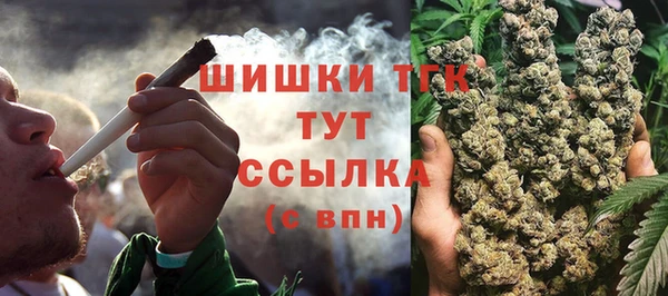 сатива Заводоуковск