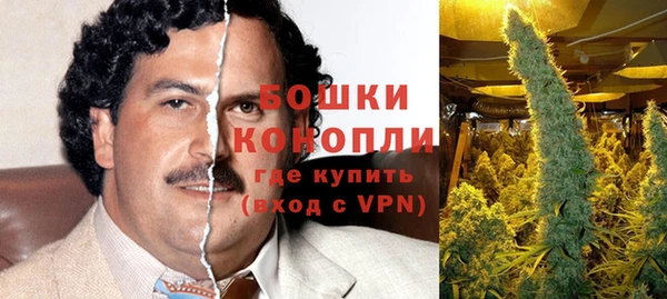 сатива Заводоуковск