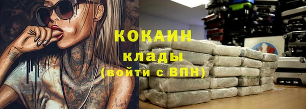 сатива Заводоуковск