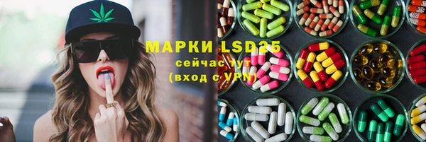 сатива Заводоуковск