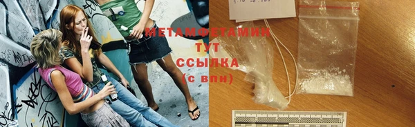 сатива Заводоуковск