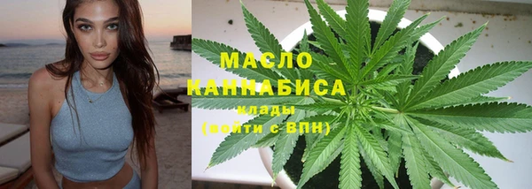 сатива Заводоуковск