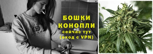 сатива Заводоуковск
